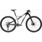 Cannondale Scalpel Carbon 3 grau.