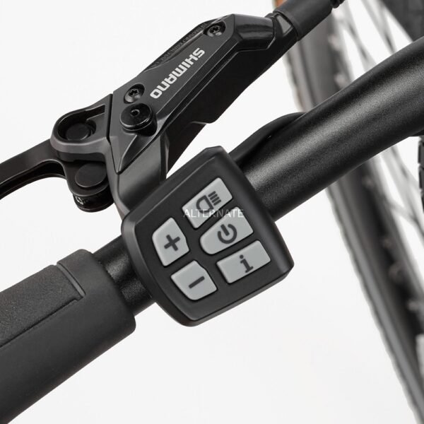 FISCHER E-Bike Pedelec Trekking VIATOR ETH 1861 Herren, – Bild 5