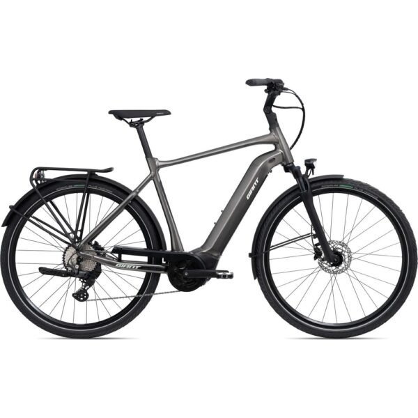 Giant DailyTour E+ 2 D GTS 2. Wahl grau.
