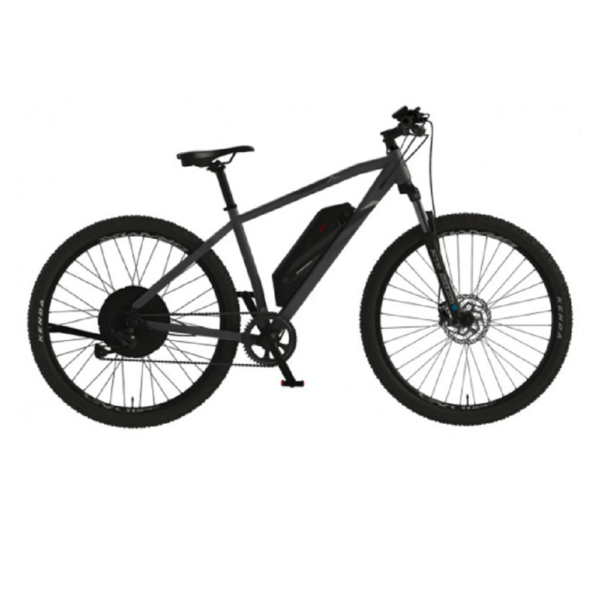 PROPHETE GRAVELER 21.EMM.20 E-MTB 29" AEG EasyDrive+.