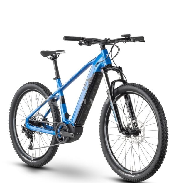 Raymon HardRay E 6.0 29 Zoll Herren E-Bike 2022.