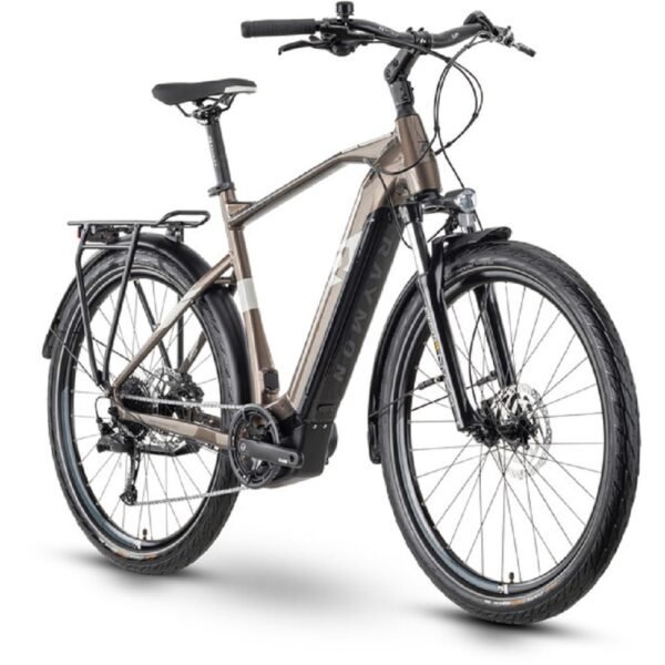 Raymon TourRay E 5.0 Diamant grau.