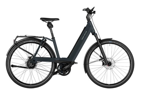 Riese und Müller Nevo4 vario - 750 Wh - 2024 - 28 Zoll - Tiefeinsteiger