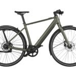 Riese und Müller UBN Five silent - 430 Wh - 2023 - 28 Zoll - Diamant