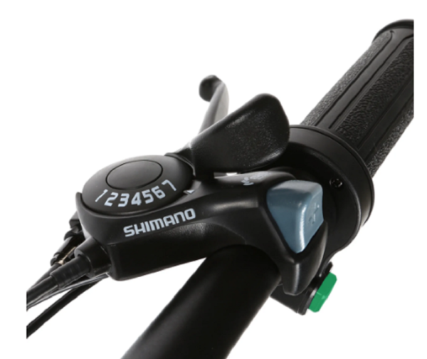 SAMEBIKE 20LVXD30-II Elektrofahrrad 20 inch 250W E-BIKE Citybike. – Bild 4