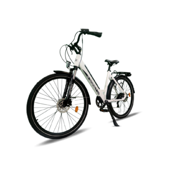 Sidney Urbanbiker City E-Bike 26" 504 Wh Akku, Unisex City Pedelec 250W Motor.
